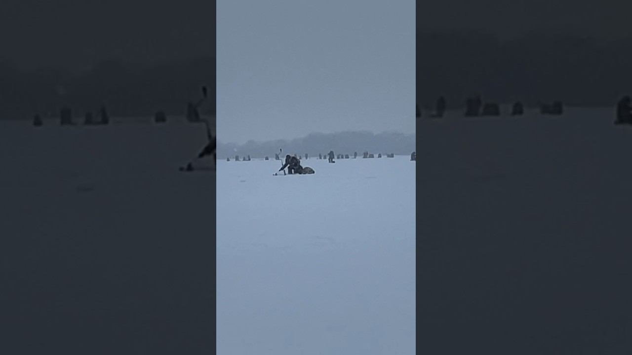 Как образуются базар на рыбалке #первыйлёд #рыбалкакстово #плотва #зимняяудочка смотреть онлайн