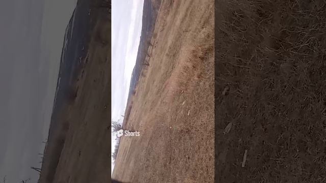 24 ноября 2023 г. (7).mp4 смотреть онлайн