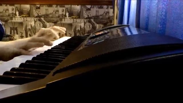 Fur elise Beethoven/playing on piano смотреть онлайн