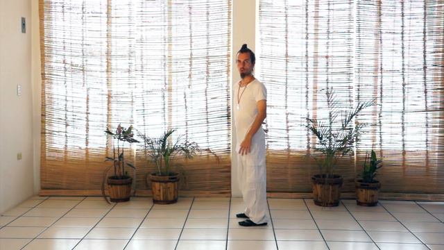 Qigong Exercises - How important is proper posture? смотреть онлайн