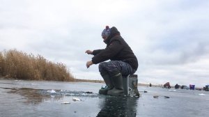 Уловистая безмотылка в действии!! - Безмотылка на плотву - Зимняя рыбалка 2020