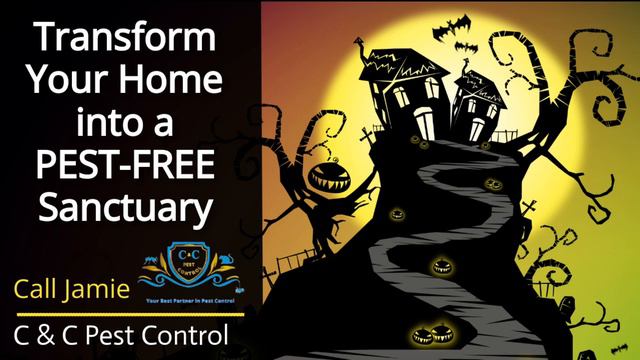 Best Buderim Pest Control Services | Sunshine Coast | Don't Let Pests Haunt Your Home This Hallowee