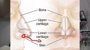 Септум, прокалываем НОС !!!! Как прокалывать нос? #Septum #vogelklein #piercing