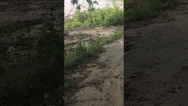 Гадюка4 смотреть онлайн