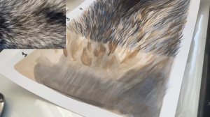 Как рисовать шерсть? Уроки рисования #акрил #рисование #арт #художник