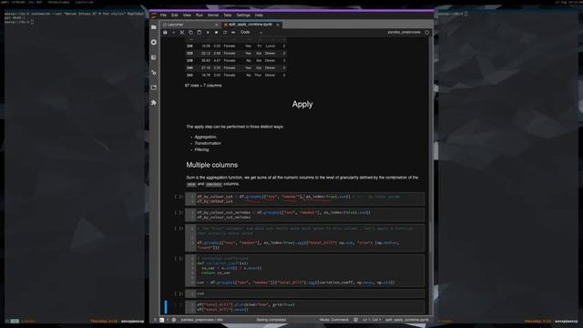 #3: 100 Pandas Exercises - Split - Apply - Combine смотреть онлайн