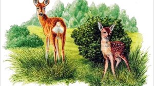 Виталий Бианки  сказка  "Хвосты"