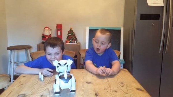 Jack and George review Teksta the robot dog