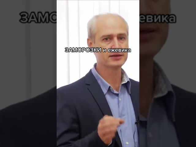 ЗАМОРОЗКИ и ежевика смотреть онлайн