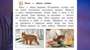 «Звери (млекопитающие)», Окружающий мир 1 класс ч.1, с.76-80, Школа XXI век.