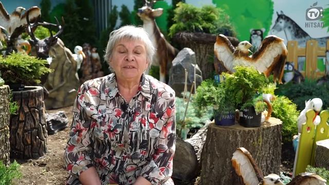 Борщевик - методы борьбы с опасным сорняком - канал хитсад смотреть онлайн