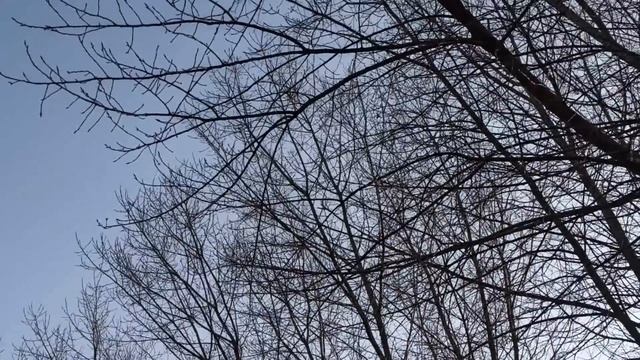 9 мая народный праздник День Глафиры Горошницы. Народные приметы и традиции. Запреты дня. смотреть онлайн