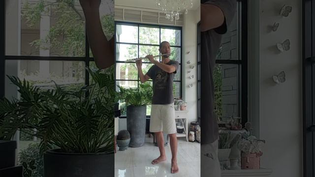 Gariboldi flute etude op. 131 no. 7 D major смотреть онлайн