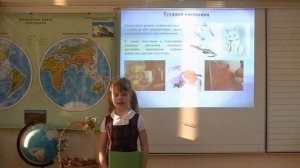 Защита индивидуального проекта  2 класс ЧОУ СОШ «Кристалл»