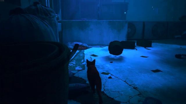 Stray PC Gameplay 4K HDR Maxed Settings смотреть онлайн