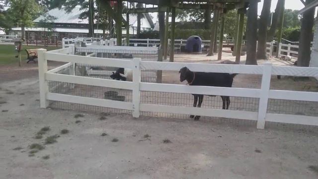 Ждите наш новый клип "Геморрой "!!! Будет очень смешно!!!🍻😁👍 смотреть онлайн