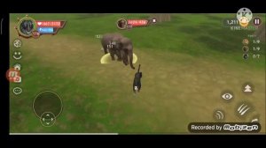 //3 способа как быстро прокачатся за 7 дней до 200 уровня в Wild Craft?//