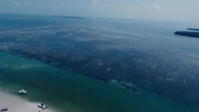 Boat trip to the Keys...Content Keys! смотреть онлайн