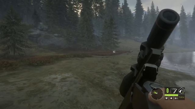 How to Hunt Roosevelt Elk | theHunter Call of the Wild смотреть онлайн