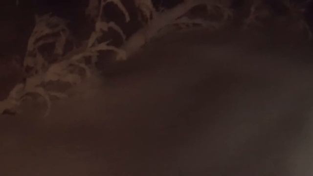 Лесная зимняя дорога смотреть онлайн