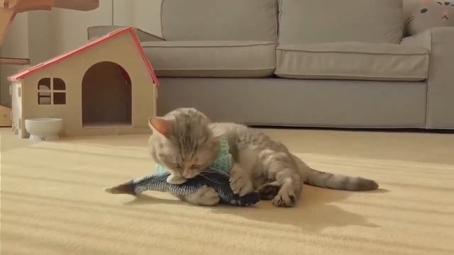 Интерактивная игрушка для кошек Fancy Pets "Карп" смотреть онлайн