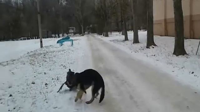 Жираф Аванс смотреть онлайн