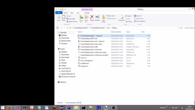 C# Anti-Decompiler Trick (Runtime Decryption)