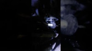 Прокачать сцепление на Ауди 100 одному человеку. Проще всего!