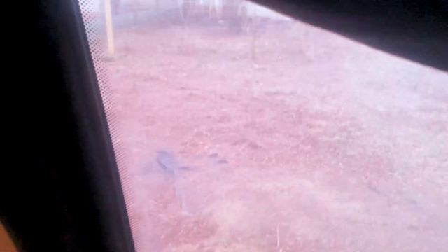 Ростов на Дону #автодом,#домнаколесах,#обзоравтодома,#автодомдляпутешествий смотреть онлайн