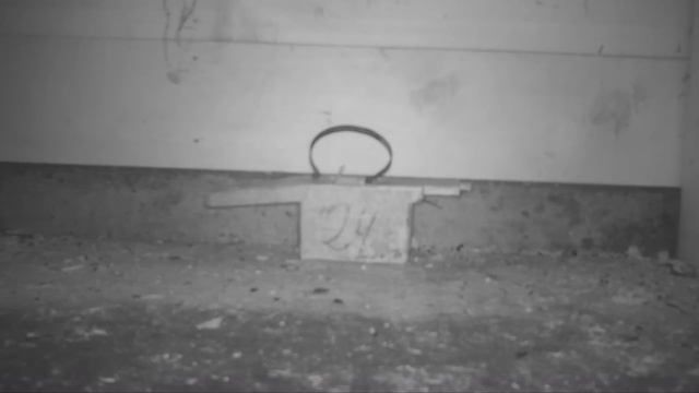 Edible Door Mouse Trap Destroyed By Mouse - Mystery Solved = Dormouse Trap. Mousetrap Monday. смотреть онлайн