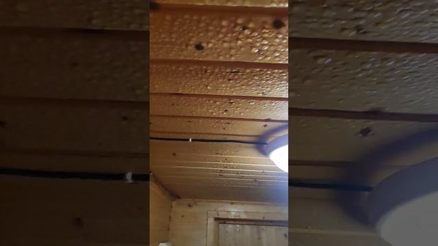 Пароизоляция в каркасной  в бане нужна? да, потому что потому