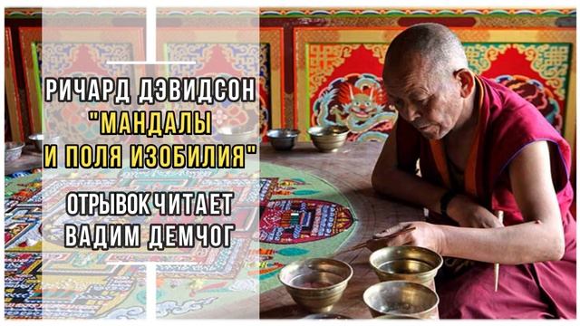 Ричард Дэвидсон "Мандалы и поля изобилия". Отрывок читает Вадим Демчог смотреть онлайн