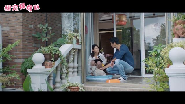 灰姑娘暖心照顧流浪小狗，一旁的總裁望著她，眼神溫柔得掐的出水！💕Chinese Drama смотреть онлайн