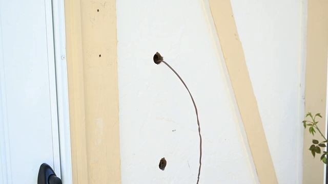 Ring Doorbell Pro 2 Installation (Wired)