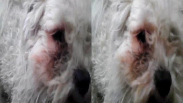 3D video. Телефон HTC Evo 3D смотреть онлайн