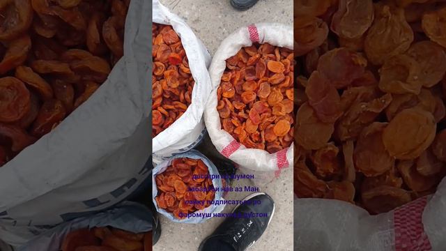 кайсабозори чилгази 02.12.2022 смотреть онлайн