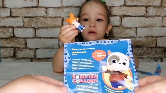 Кошечки-Собачки маджики от ДеАгостини | Magiki Кошечки-Собачки от DeAgostini распаковка и обзор