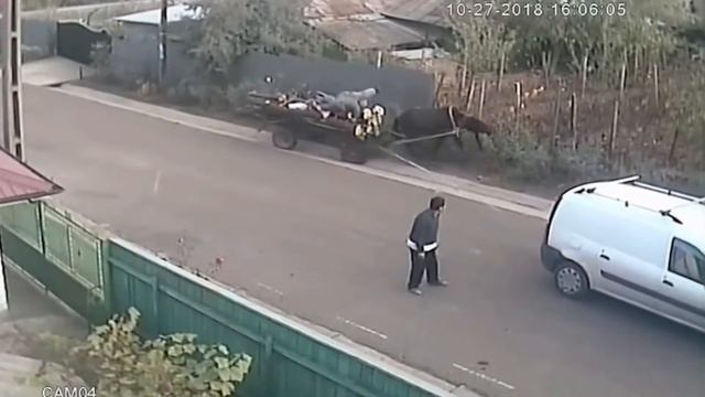 Oblivion NPC, Local NPC has too much skooma and causes horses to crash смотреть онлайн
