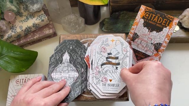 The Citadel Oracle Deck - Special Limited Edition ⚔️ Unboxing & Flip Through (No Talking) смотреть онлайн