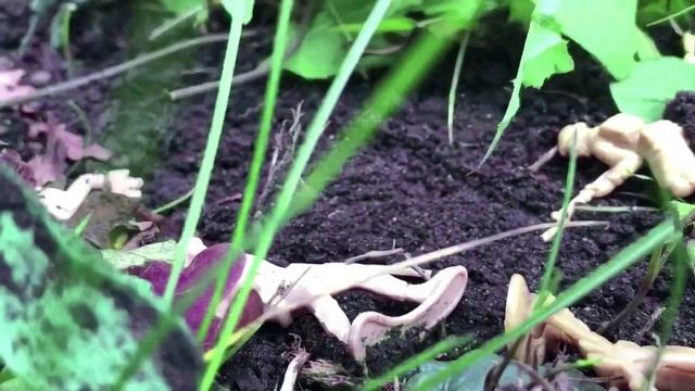 Plastic Assault Part 2 | A Toy Army Men Stop Motion смотреть онлайн