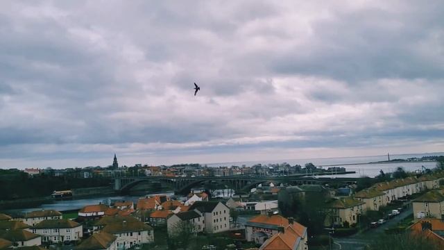 The City Of DunBear || Dunbar || UK смотреть онлайн