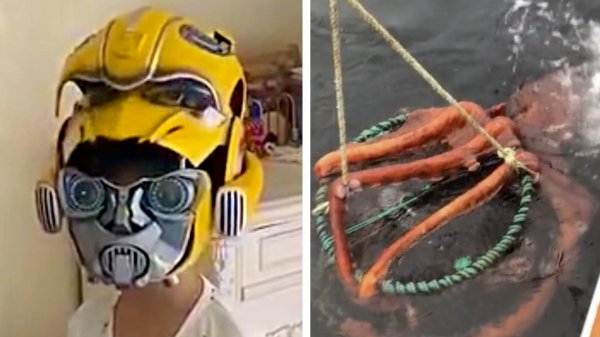 Видео, которые тебя удивят (4 часть)