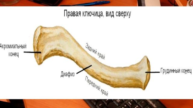 ЖЕСТКАЯ САМООБОРОНА!!! УДАР ПО КЛЮЧИЦЕ!!! смотреть онлайн
