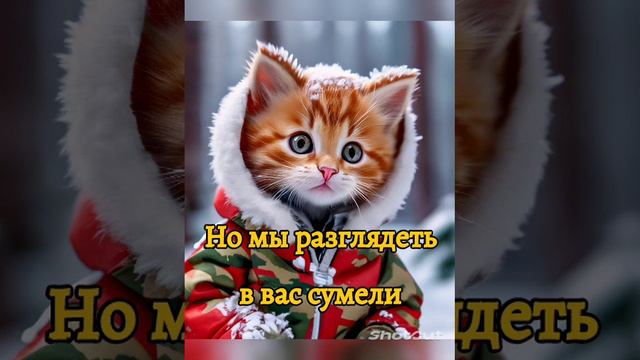 Смешное Поздравление с 23 февраля 😍🐱🤩 смотреть онлайн