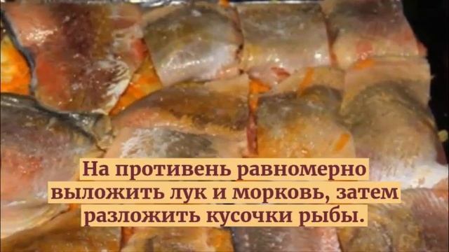Здоровый Образ Жизни
