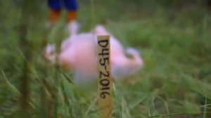 Жизнь закончилась. ЧТО ДАЛЬШЕ_ — ТОПЛЕС