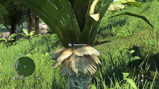 Far Cry 3 Полное прохождение -- Ищем кинжал. #14