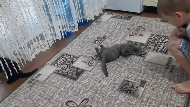 ПРИДУМАЛА, ЧЕМ ЗАКРЫТЬ БАЛКОН смотреть онлайн