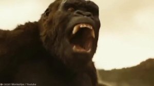 King Kong VS T-Rex – (Who Would Win?)
