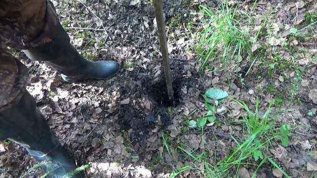 КАК НАЙТИ ЗОЛОТО В РУЧЬЕ!!! Весь процесс от начала до конца! смотреть онлайн